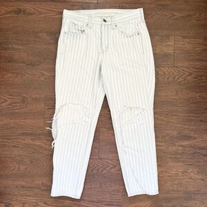 American Eagle Outfitters Striped 4 Button Blue & Ivory Distressed Jeans 6 Short